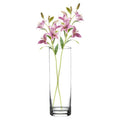 Jarrón de Flores de Cristal, Florero abombado de Vidrio, 26cm, 21cm y 26.5cm de Alto, Elegante y Sofisticado