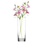 Jarrón de Flores de Cristal, Florero abombado de Vidrio, 26cm, 21cm y 26.5cm de Alto, Elegante y Sofisticado