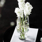 Jarrón de Flores de Cristal, Florero abombado de Vidrio, 26cm, 21cm y 26.5cm de Alto, Elegante y Sofisticado