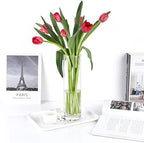 Jarrón de Flores de Cristal, Florero abombado de Vidrio, 26cm, 21cm y 26.5cm de Alto, Elegante y Sofisticado